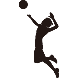 スポーツ